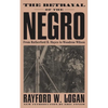 The Betrayal of the Negro, from Rutherford B. Hayes to Woodrow Wilson - Paperback