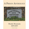 A Prison Anthology: Brushy Mountain 2005-2007 - Paperback