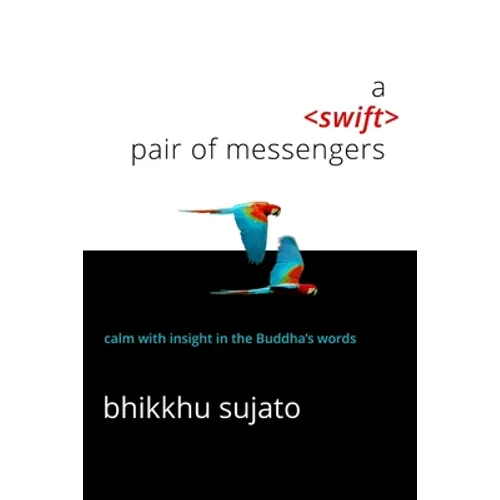 A Swift Pair of Messengers - Paperback