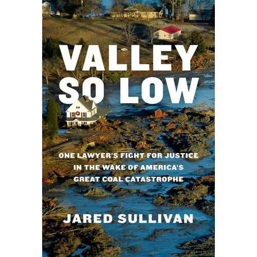 Valley So Low: One Lawyer's Fight for Justice in the Wake of America's Great Coal Catastrophe - Hardcover