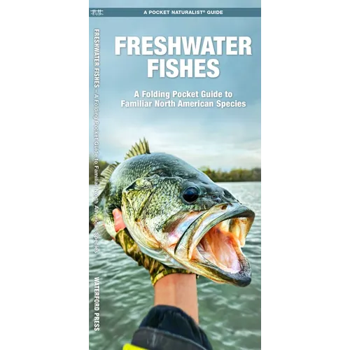 Freshwater Fishes: An Introduction to Familiar North American Species