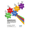 Getting Value out of Agile Retrospectives - A Toolbox of Retrospective Exercises - Paperback