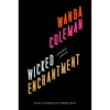 Wicked Enchantment: Selected Poems - Paperback