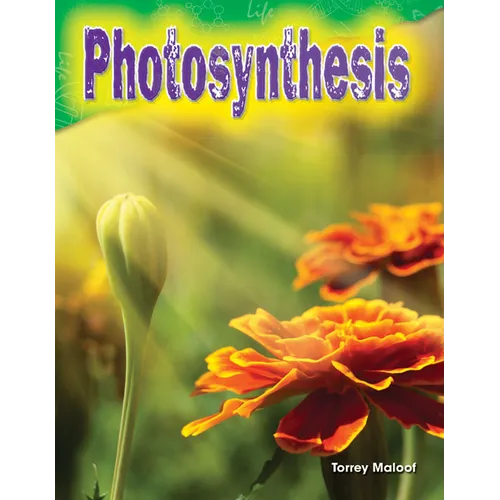 Photosynthesis - Paperback