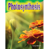 Photosynthesis - Paperback