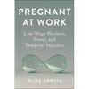 Pregnant at Work: Low-Wage Workers, Power, and Temporal Injustice - Hardcover