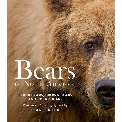 Bears of North America: Black Bears, Brown Bears, and Polar Bears - Paperback