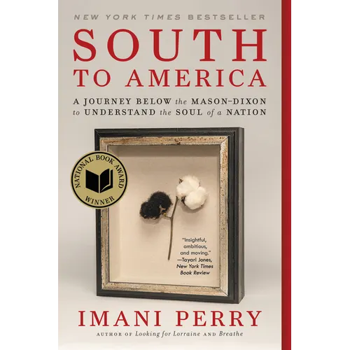South to America: A Journey Below the Mason-Dixon to Understand the Soul of a Nation - Paperback