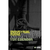 Industrial Ruins: Space, Aesthetics and Materiality - Paperback