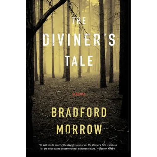 The Diviner's Tale - Paperback