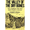 The Valley of the Dry Bones: The Conditions That Face Black People in America Today - Paperback