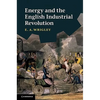 Energy and the English Industrial Revolution - Hardcover