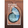 The Mysteries of Healing: Dialogues with Doctors and Scientists - Paperback