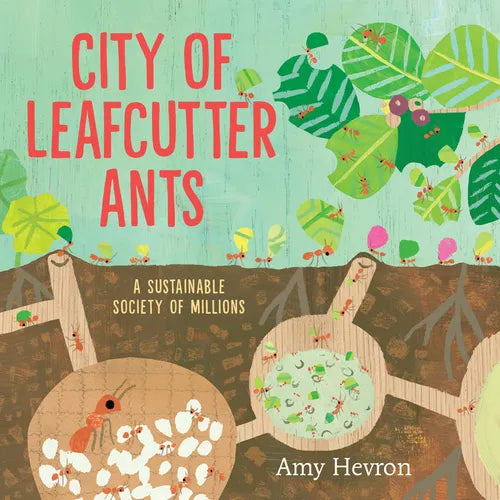 City of Leafcutter Ants: A Sustainable Society of Millions - Hardcover