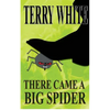 There Came A Big Spider - Paperback