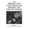 The Molecular and Cellular Biology of Wound Repair - Paperback