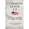 Common Sense 2.0: Freeing America of Debt Slavery - Paperback