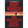 The Secrets of Harry Bright - Paperback