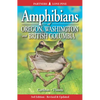 Amphibians of Oregon, Washington and British Columbia: A Field Identification Guide - Paperback