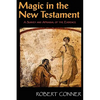 Magic in the New Testament - Paperback