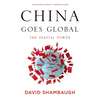 China Goes Global: The Partial Power - Paperback