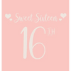 Happy 16th Birthday Guest Book (Hardcover): Sweet Sixteen Guest book, party and birthday celebrations decor, memory book, 16th birthday, happy birthda - Hardcover