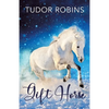 Gift Horse: An all-ages, horsey, holiday novella - Paperback
