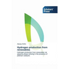 Hydrogen production from renewables - Paperback