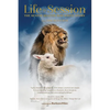 Life in Session: The Senior Master Bob White Story - Paperback
