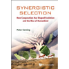 Synergistic Selection - Hardcover