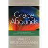 Grace Abounds: God's Abundance Against the Fear of Scarcity - Paperback