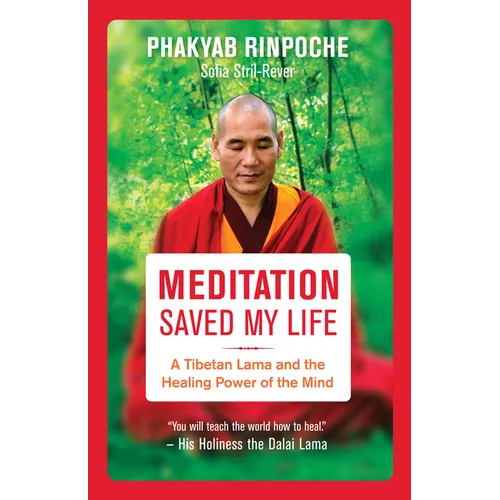 Meditation Saved My Life: A Tibetan Lama and the Healing Power of the Mind - Paperback