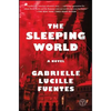The Sleeping World - Paperback