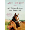 All Things Bright and Beautiful: The Warm and Joyful Memoirs of the World's Most Beloved Animal Doctor - Paperback