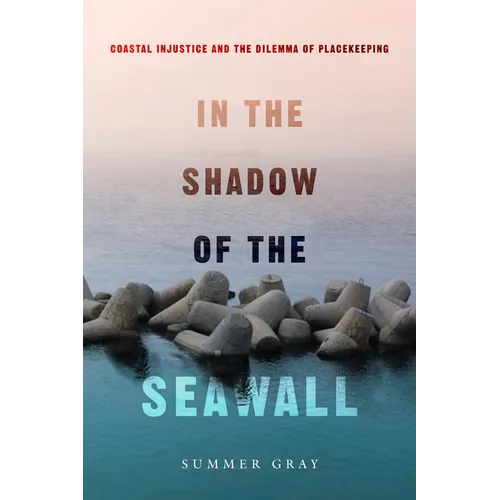In the Shadow of the Seawall: Coastal Injustice and the Dilemma of Placekeeping - Paperback