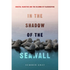 In the Shadow of the Seawall: Coastal Injustice and the Dilemma of Placekeeping - Paperback