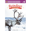 Reindeer: On the Move! - Paperback