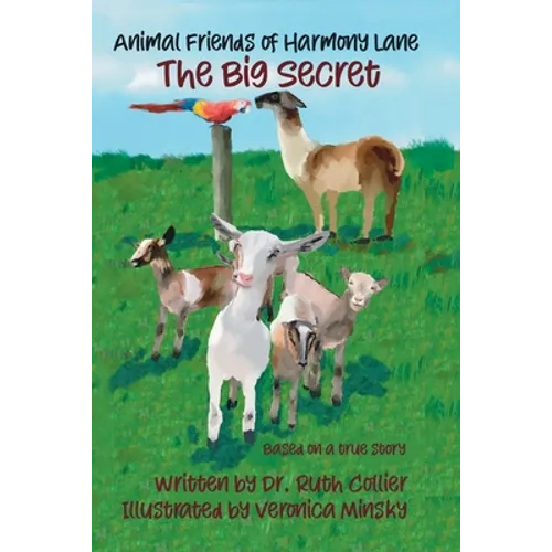 The Big Secret - Paperback