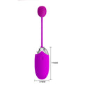 USB Recharge Bluetooth Vibrator