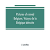 Pictures of ruined Belgium, Visions de la Belgique détruite - Paperback