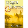 North of Denton - Paperback