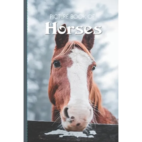 Picture Book Of Horses: Large Print Book For Seniors with Dementia or Alzheimer's - Paperback