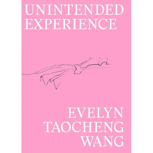 Evelyn Taocheng Wang: Unintended Experience: A Job in Amsterdam - Paperback