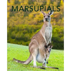 Marsupials: Amazing Pictures & Fun Facts of Animals in Nature - Paperback