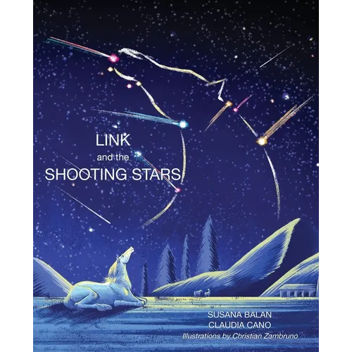 Link and the Shooting Stars - Paperback