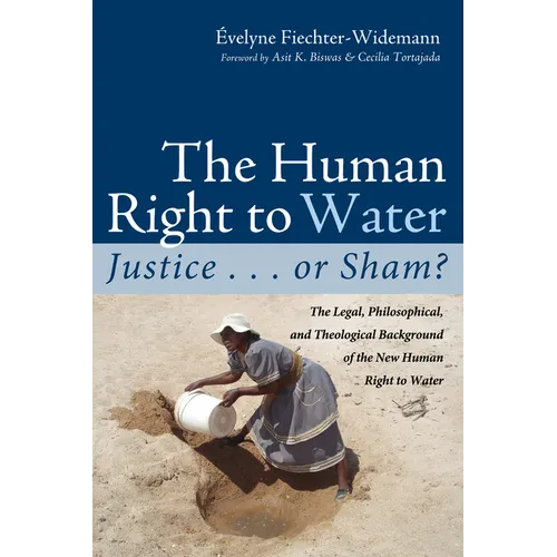 The Human Right to Water: Justice . . . or Sham?: The Legal, Philosophical, and Theological Background of the New Human Right to Water - Paperback