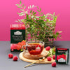 Ahmad Raspberry Indulgence Black Tea 20 foil tea bags