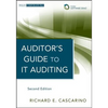 Auditor's Guide to It Auditing, + Software Demo - Hardcover