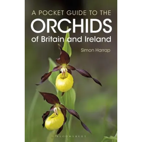 Pocket Guide to the Orchids of Britain and Ireland - Paperback