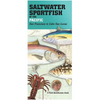 Saltwater Sportfish of the Pacific: San Francisco to Cabo San Lucas - Hardcover